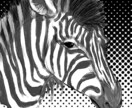 オリジナルキャラクター、各種イラストの制作をします おしゃれ、アート、似顔絵など、出来る限りご要望に応えます! イメージ5