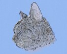 あなただけのペットの絵を描きます ペットの魅力を形に残すお手伝いをさせてください。 イメージ5