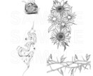 タトゥーデザイン作ります タトゥーアーティストが描く＊繊細ラインのオリジナルデザイン イメージ8
