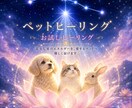ペットヒーリングします 愛するペットを、光と癒しのエネルギーで整えるお手伝いを☆ イメージ1