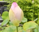 お試し》悩んでいませんか？お話聞きます 貴方のお悩みをカードセッションで紐解きます。 イメージ2