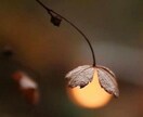 あなたの能力を開花◆潜在能力を引き上げます あなたの眠った潜在能力を覚醒させます イメージ10