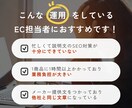 AI×EC運用［商品紹介文］のGPTsを提供します 年商億超えの現場が使うSEOを考慮した文章が作成できます。 イメージ9