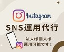 1ヶ月Instagram運用代行いたします 広告代理店出身のインフルエンサーが運用代行いたします！ イメージ1