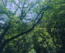 引き寄せがうまくいかない原因を教えます 「引き寄せ」迷子になる根本原因&叶えるための方法 イメージ1