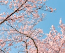 きずなフォト。何気ない日常の幸せを残します 今しか撮れない家族の風景を日常的に残しませんか？ イメージ5