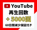 YouTube 再生回数 +5000回～増加します ⭐️特別価格⭐️short動画可・振り分け可・減少保障付き イメージ1