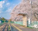 あなたの代わりに写真撮影承ります 旅行代理店勤務の経験を活かして、日本中どこでも駆けつけます！ イメージ7