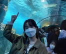 MZ世代韓国人が対応！日本語→韓国語を翻訳致します アンニョンハセヨ。韓国語ネイティブが翻訳致します。 イメージ4