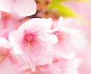 慈愛心のクリニックです。お悩みお聞きいたします 親身に何でもお聞きします。心のモヤモヤなくしましょう イメージ5