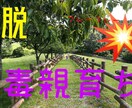 毒親育ちのあなたへ寄り添います 生きづらい、不安、自分が嫌い。あなたのせいではありません！！ イメージ1