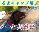 1枚3000円！YouTubeサムネイル作ります 面倒なサムネイルは任せて動画編集の時間に回してください♪ イメージ6