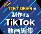 現役TikTokerがTikTok動画編集をします 丁寧に高品質な動画を提供します。100万再生の実績多数！ イメージ1
