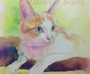 手描き！ペット・動物の肖像を水彩画で描きます 水彩でペットや動物の写真を元に水彩紙に透明水彩で着彩。 イメージ5