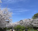 風景、花の画像提供します 風景、花、日常の写真提供します。 イメージ9