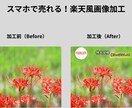 楽天・yahoo売れる商品画像加工します スマホ視認性117％！パッと目を引く極太縁取りとレイアウト イメージ2