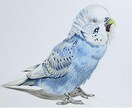 ペットの似顔絵を描きます 色鉛筆のアナログイラストで心温まる一枚をお届けします！！ イメージ3