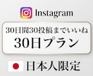 最安値【月額】インスタ日本人いいね30日増やします 30日間インスタ投稿に日本人のいいねを増やします‼️ イメージ1