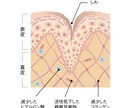 お肌の内部を描きます 化粧品の効果説明や皮膚の作りをわかりやすくお伝えします イメージ2