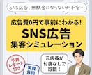 SNS広告は必要？配信前にシミュレーションします 無駄な広告費を払う前に！貴店に本当に必要かデータで診断します イメージ1