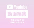 今だけ格安！　YouTube用動画編集承ります 素早く高品質な動画を提供します！ イメージ1