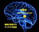 ドラゴン・ゲート開門！松果体活性化します 限定30名！運命の境界線を超える龍の最上級エネルギーワーク イメージ2