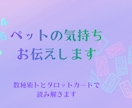 大切なワンちゃんの行動やお気持ちを読み解きます 家族であるワンちゃんとの絆を深めるお手伝いします イメージ1