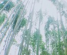 リピーター様のご質問承ります リピーター様へのアフターフォロー専用です。 イメージ1