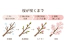 わかりやすいオリジナル図解を作成します 文章だけでは伝わりにくい内容を、見やすい図解にまとめます イメージ1