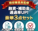 銀行融資や補助金で使える事業計画書の雛形を送ります ～審査項目を熟知した現役銀行員が策定した申請書の雛形です～ イメージ1