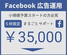 ビデオチャット対応Facebook広告運用承ります 薬機法、景表法にも精通した現役プロが親切丁寧にサポート イメージ1