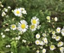 モヤモヤしている気持ちをふんわり受け止めます ちょっとだけ一息つきませんか？ イメージ2