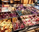 おもしろ可愛い瞬間の写真、提供いたします クオリティを下げずに撮影した写真を使ってみませんか？ イメージ2