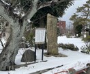 どんな些細な事でもお話しお聞きします 精神科病院勤務歴10年！この経験が何かお役に立てれば。 イメージ4