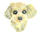 あなたの可愛いわんちゃんを、絵画に仕上げます ペットの似顔絵・肖像画オーダー『まなペットアート』横浜・東京 イメージ8