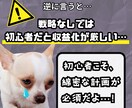 ご購入者様だけに、こっそり50%オフでご提供します SNSを活用した集客、販売スケジュールの組み方まで完全網羅！ イメージ3