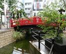 スナップ写真を提供します 地元でしか撮れない写真を提供します。 イメージ3