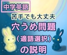 中学英語の穴うめ問題・適語選択をやさしく解説します 中学英語｜苦手でもOK｜短く・わかりやすく説明します イメージ1