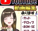 経験多数！Youtube動画の編集承ります カットのみ、テロップのみ、細かく対応可能です イメージ1