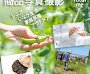 一瞬で魅了する商品写真を撮影します シニアの手モデル、田舎生活、家庭菜園、アウトドアが得意です! イメージ1