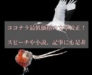安くて早い文章校正を心がけます 急いでいるけれど、校正にお金もかけたくないというあなたへ！ イメージ1