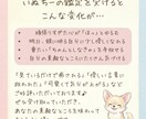 疲れた心に寄り添う四柱推命鑑定をします 優しい言葉で星を解説し、あなたを癒し、元気にさせます イメージ3