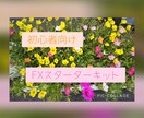 FXスターターキット教えます 今からFXについて学びたい初心者向けです！ イメージ1