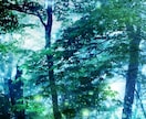 今のあなたを手助けするアロマを探します セイクリッドアロマカード❀今のあなたへの香りとメッセージを イメージ1