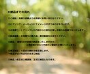 企画、撮影が大事。YouTube動画編集します 視聴維持率の高い動画をお求めの方へ イメージ2