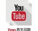 youtubeの再生回数を+1000回拡散します youtubeSEOに超効果的！超スピード対応です！ イメージ1
