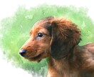 お手持ちの画像を水彩画風にいたします 大切な人、ペットなど、画像を水彩画風の似顔絵にいたします。 イメージ8