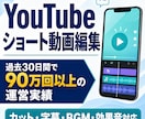 YouTubeショート動画を編集します テンポの良い見やすいショート動画に仕上げます！ イメージ1