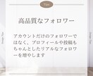 Instagramフォロワー増やします 1人0.5円！業界最安値！どこよりも安く提供します！ イメージ3