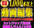 完全丸投げ動画編集承ります 現役YouTuberが動画を制作します！ イメージ1